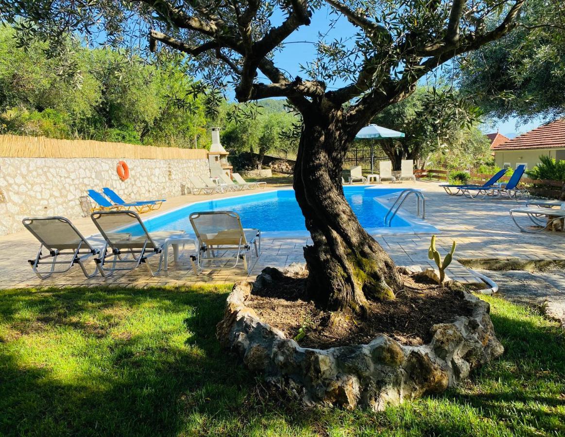 Olive Grove Poolside Apartments Бенитсес Экстерьер фото